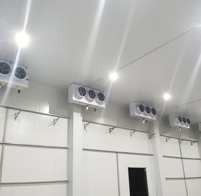 Air Cooler Project Para sa Areca Storage Room